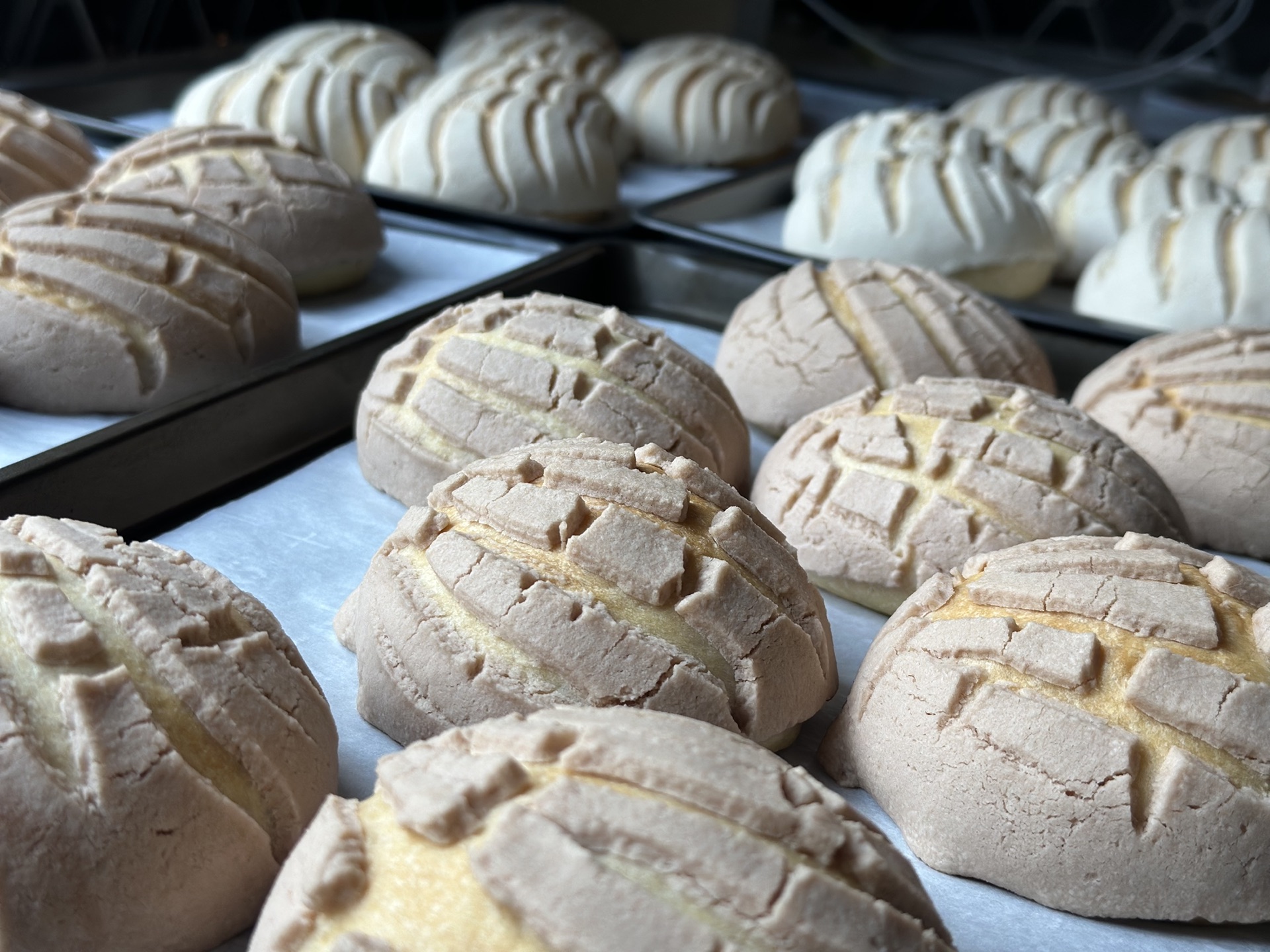 Freshly baked conchas from Seattle Oven