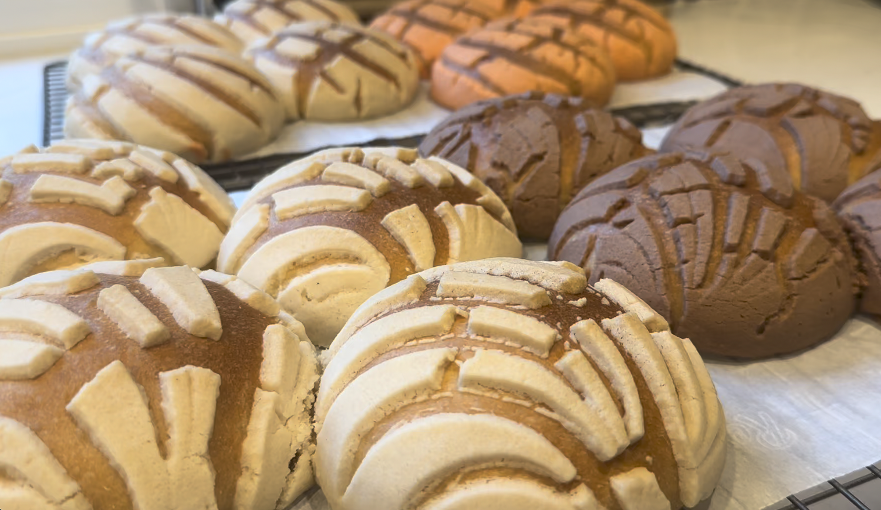 An assortment of Mexican pan dulce sweet breads